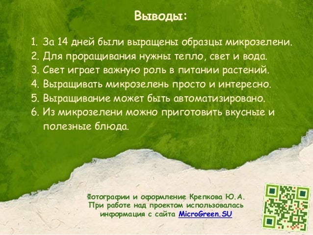 Сквиртл ПокеВики 19 Сквиртл ПокеВики 52